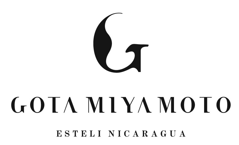 GOTA MIYAMOTO